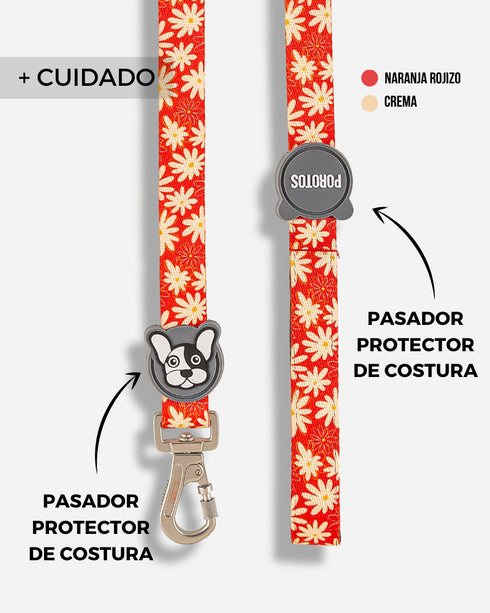 Correa Extra Larga Margarita